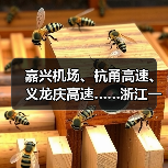 嘉兴机场、杭甬高速、义龙庆高速……浙江一批交通工程有新进展