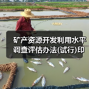 矿产资源开发利用水平调查评估办法(试行)印发(图2) 矿产资源开发利用水平调查评估办法(试行)印发(图2)