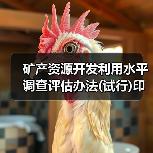矿产资源开发利用水平调查评估办法(试行)印发(图3) 矿产资源开发利用水平调查评估办法(试行)印发(图3)