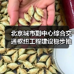 北京城市副中心综合交通枢纽工程建设稳步推进(图2) 北京城市副中心综合交通枢纽工程建设稳步推进(图2)