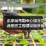 北京城市副中心综合交通枢纽工程建设稳步推进