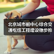 北京城市副中心综合交通枢纽工程建设稳步推进(图4) 北京城市副中心综合交通枢纽工程建设稳步推进(图4)