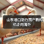 山东港口助力国产盾构机走向海外(图2) 山东港口助力国产盾构机走向海外(图2)