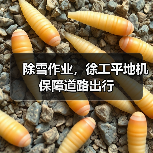 除雪作业，徐工平地机保障道路出行