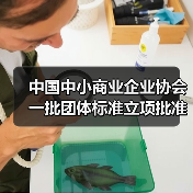 中国中小商业企业协会一批团体标准立项批准