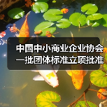 中国中小商业企业协会一批团体标准立项批准（图4）