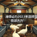 潍柴动力2023年度经营质效齐升！（图4）