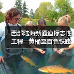 西部陆海新通道标志性工程――黄桶至百色铁路正式开建（图3）