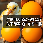 广东省人民政府办公厅关于印发《广东省“民生十大工程”五年行动计划(2023―2027年)》的通知(图3) 广东省人民政府办公厅关于印发《广东省“民生十大工程”五年行动计划(2023―2027年)》的通知(图3)