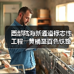 西部陆海新通道标志性工程――黄桶至百色铁路正式开建（图4）