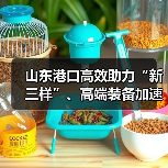 山东港口高效助力“新三样”、高端装备加速出海