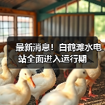 最新消息！白鹤滩水电站全面进入运行期