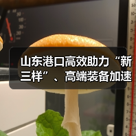 山东港口高效助力“新三样”、高端装备加速出海(图3) 山东港口高效助力“新三样”、高端装备加速出海(图3)