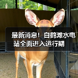最新消息!白鹤滩水电站全面进入运行期(图4) 最新消息!白鹤滩水电站全面进入运行期(图4)