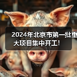 2024年北京市第一批重大项目集中开工！