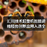 汇川技术起重机智能运维服务创新应用入选全国典型案例(图2) 汇川技术起重机智能运维服务创新应用入选全国典型案例(图2)