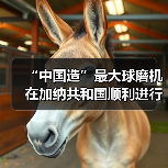 “中国造”最大球磨机在加纳共和国顺利进行吊装