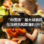 “中国造”最大球磨机在加纳共和国顺利进行吊装(图2) “中国造”最大球磨机在加纳共和国顺利进行吊装(图2)