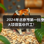 2024年北京市第一批重大项目集中开工!(图3) 2024年北京市第一批重大项目集中开工!(图3)