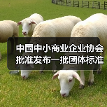 中国中小商业企业协会批准发布一批团体标准!(图2) 中国中小商业企业协会批准发布一批团体标准!(图2)