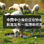 中国中小商业企业协会批准发布一批团体标准!(图4) 中国中小商业企业协会批准发布一批团体标准!(图4)
