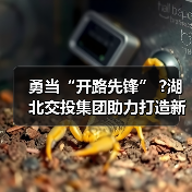 勇当“开路先锋” ?湖北交投集团助力打造新时代“九州通衢”(图4) 勇当“开路先锋” ?湖北交投集团助力打造新时代“九州通衢”(图4)