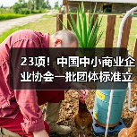 23项！中国中小商业企业协会一批团体标准立项获批