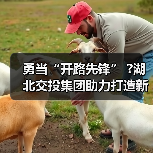 勇当“开路先锋” ?湖北交投集团助力打造新时代“九州通衢”
