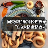 同类型桥梁跨径世界第一！飞龙大桥全桥合龙