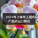 2024年上半年工程机械产品进出口快报(图4) 2024年上半年工程机械产品进出口快报(图4)