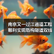 南京又一过江通道工程顺利实现盾构隧道双线贯通（图4）