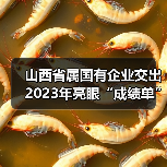 山西省属国有企业交出2023年亮眼“成绩单”(图2) 山西省属国有企业交出2023年亮眼“成绩单”(图2)