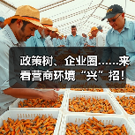 政策树、企业圈……来看营商环境“兴”招!(图2) 政策树、企业圈……来看营商环境“兴”招!(图2)