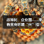 政策树、企业圈……来看营商环境“兴”招!(图4) 政策树、企业圈……来看营商环境“兴”招!(图4)