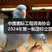 中国国际工程咨询协会2024年第一批团标立项发布(图2) 中国国际工程咨询协会2024年第一批团标立项发布(图2)