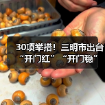 30项举措!三明市出台“开门红”“开门稳”若干措施(图3) 30项举措!三明市出台“开门红”“开门稳”若干措施(图3)