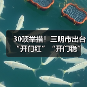 30项举措!三明市出台“开门红”“开门稳”若干措施(图4) 30项举措!三明市出台“开门红”“开门稳”若干措施(图4)