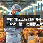 中国国际工程咨询协会2024年第一批团标立项发布