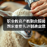 职业教育产教融合服务国家重要先进制造业建设进一步深化(图2) 职业教育产教融合服务国家重要先进制造业建设进一步深化(图2)