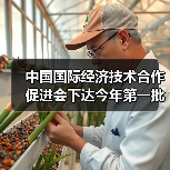 中国国际经济技术合作促进会下达今年第一批团标计划项目（图4）