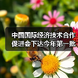中国国际经济技术合作促进会下达今年第一批团标计划项目（图3）