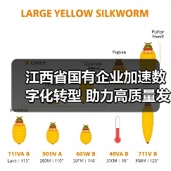 江西省国有企业加速数字化转型 助力高质量发展