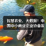 智慧农业、大数据!中国中小商业企业协会发布一批标准(图3) 智慧农业、大数据!中国中小商业企业协会发布一批标准(图3)