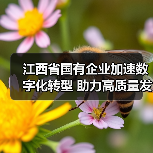 江西省国有企业加速数字化转型 助力高质量发展(图4) 江西省国有企业加速数字化转型 助力高质量发展(图4)