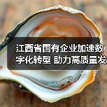 江西省国有企业加速数字化转型 助力高质量发展(图3) 江西省国有企业加速数字化转型 助力高质量发展(图3)