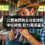 江西省国有企业加速数字化转型 助力高质量发展(图2) 江西省国有企业加速数字化转型 助力高质量发展(图2)