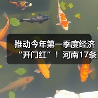 推动今年第一季度经济“开门红”!河南17条举措来了(图3) 推动今年第一季度经济“开门红”!河南17条举措来了(图3)