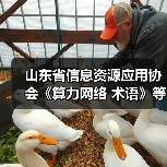 山东省信息资源应用协会《算力网络 术语》等3项标准施行(图4) 山东省信息资源应用协会《算力网络 术语》等3项标准施行(图4)