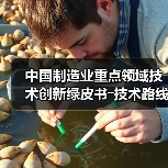 中国制造业重点领域技术创新绿皮书―技术路线图(2023)（图1）