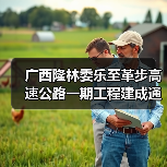 广西隆林委乐至革步高速公路一期工程建成通车(图4) 广西隆林委乐至革步高速公路一期工程建成通车(图4)